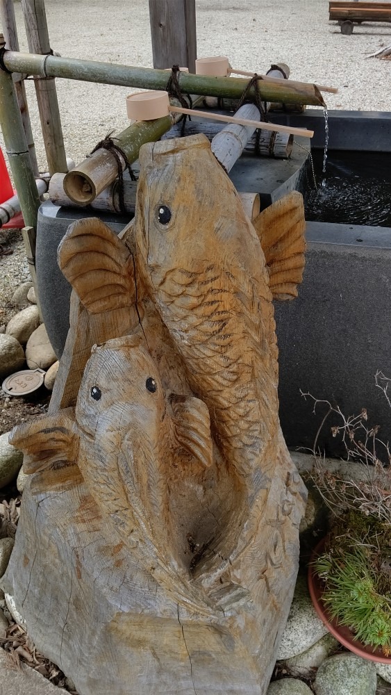 手水舎に鯉の滝登り🐟