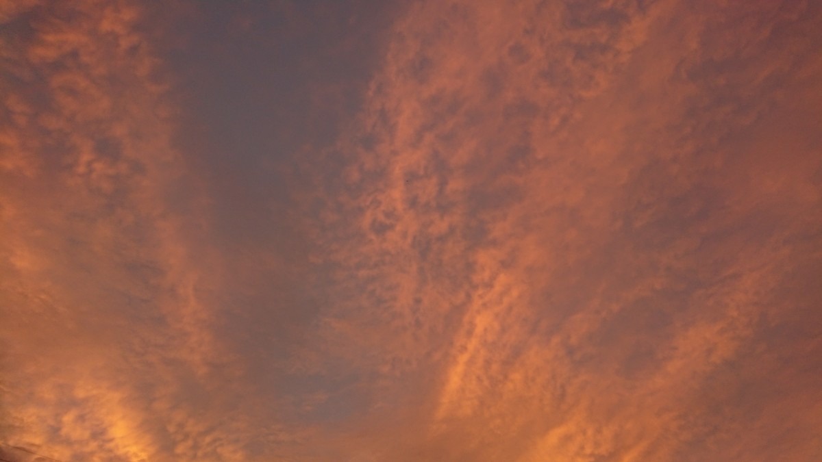 7/2今の空