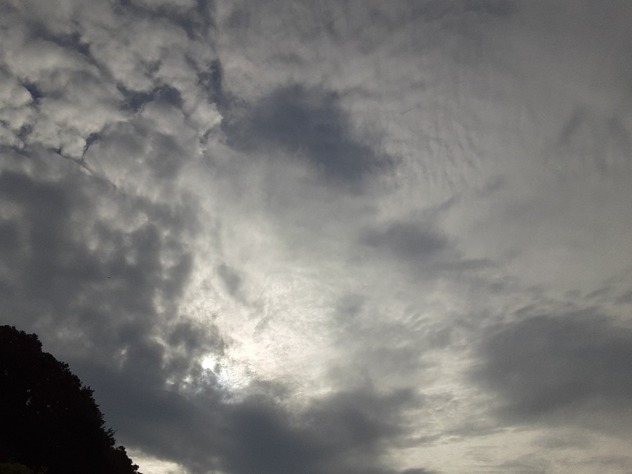 雲もくもく部❣️( ˶˙ᵕ˙˶ )🍀*゜