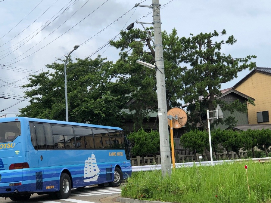 いってらっしゃい‼️