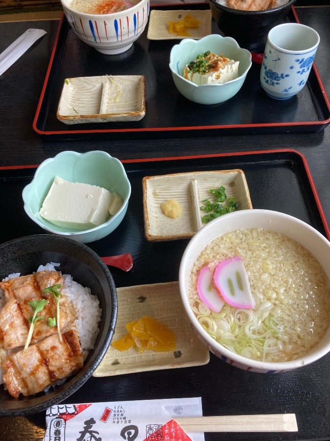 今日のランチは春日でうどん