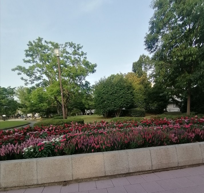 公園の花壇－集大成