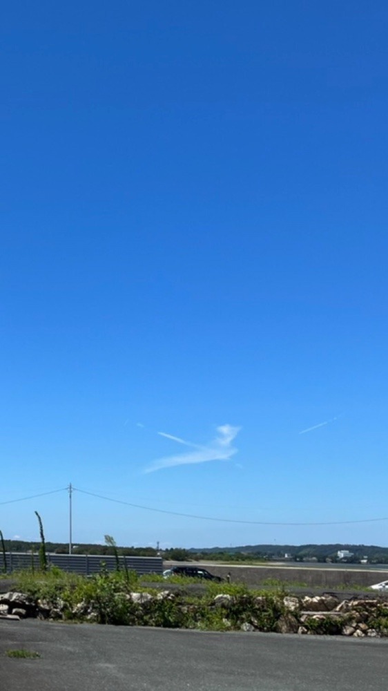 空③ また発見⤴️