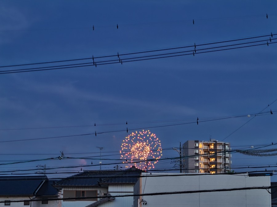 豊田市の花火