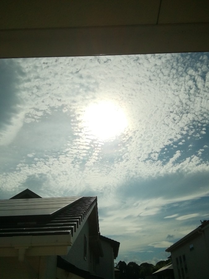 今空③