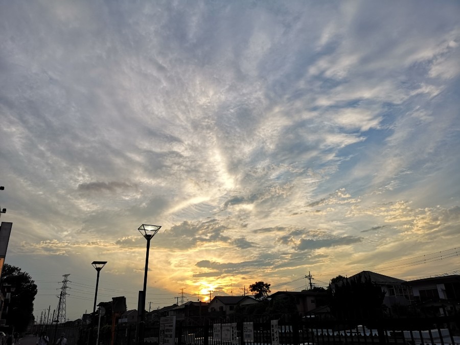 ７月９日　午後６時過ぎ　西国分寺✨