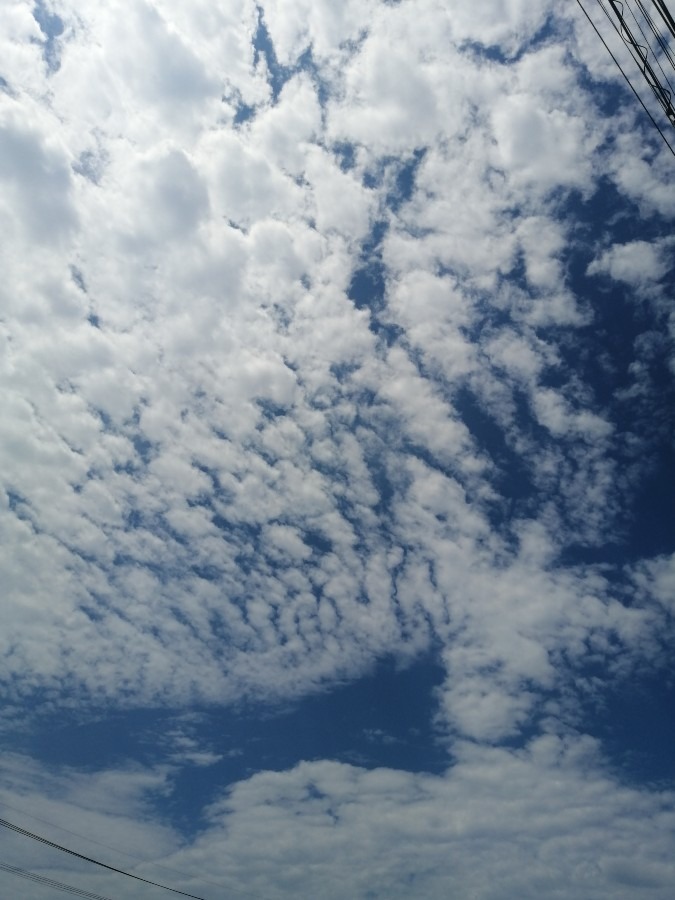 今日の空－8月26日