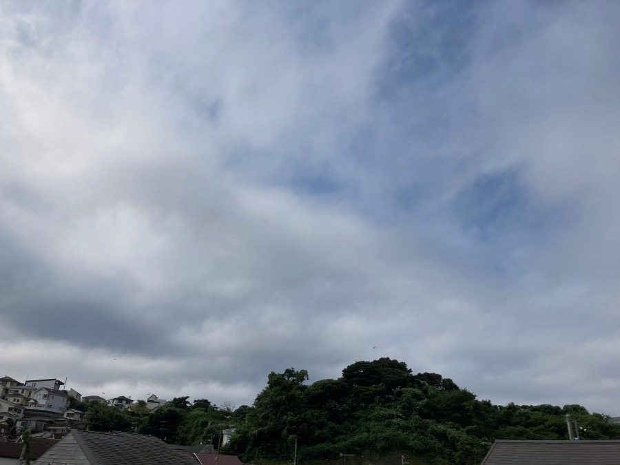 今朝も雲が多い…。