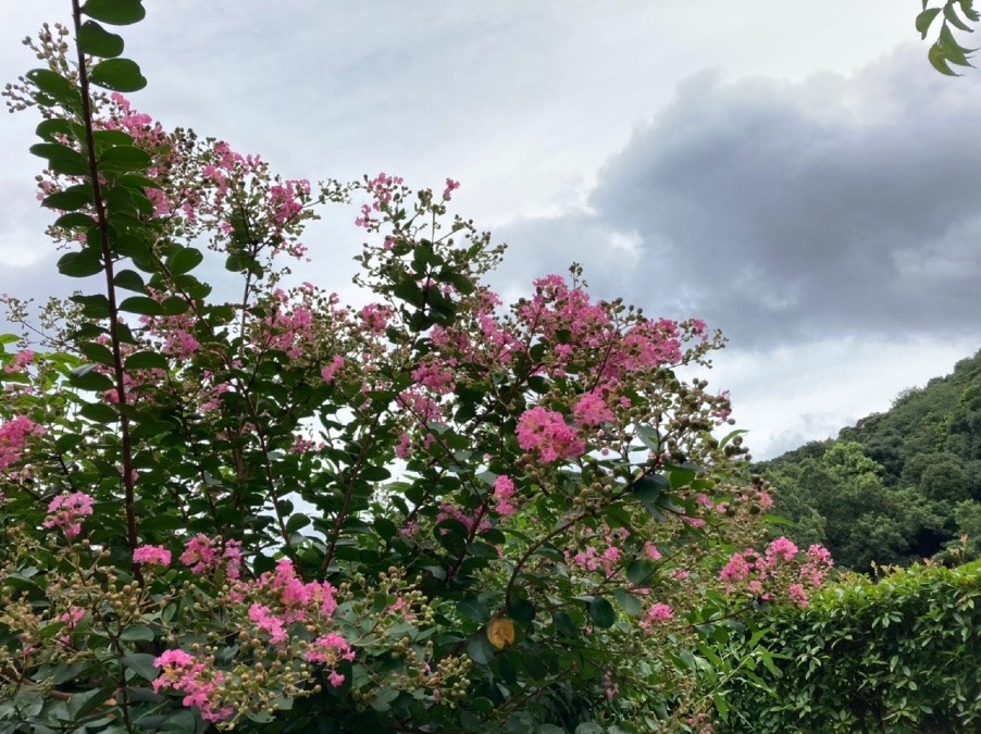 いまの空