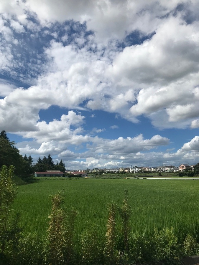 見惚れるほどの空