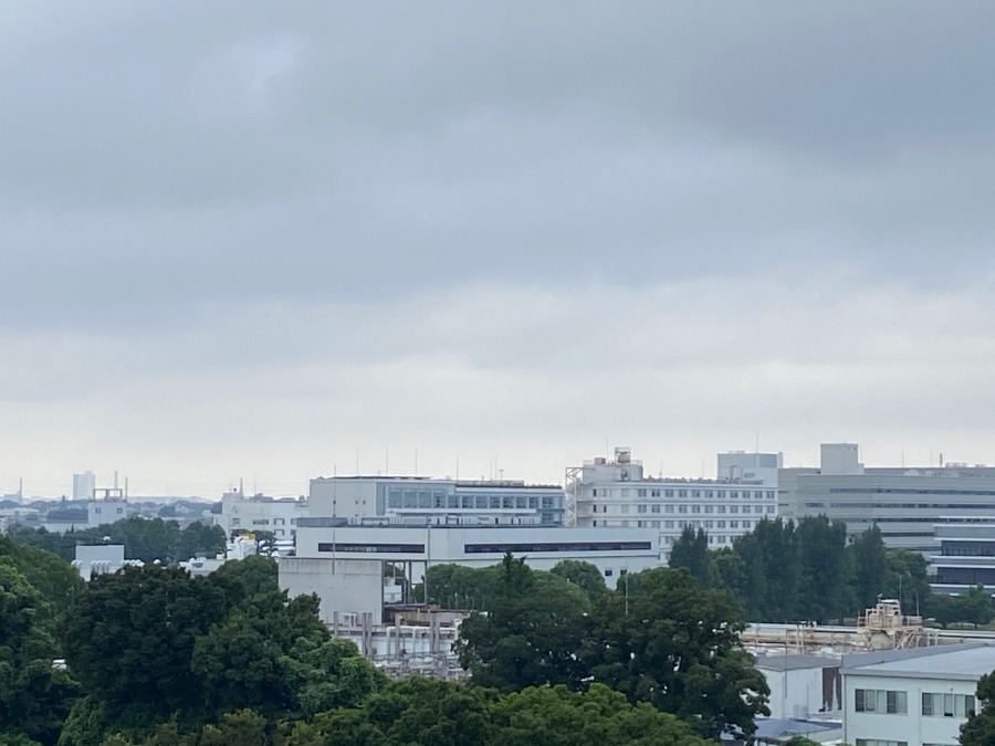 今朝の富士山