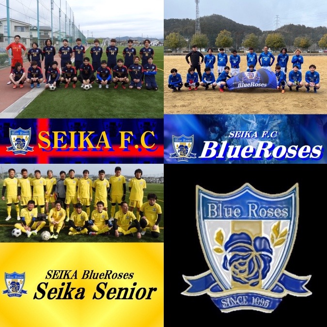 SEIKA BlueRoses