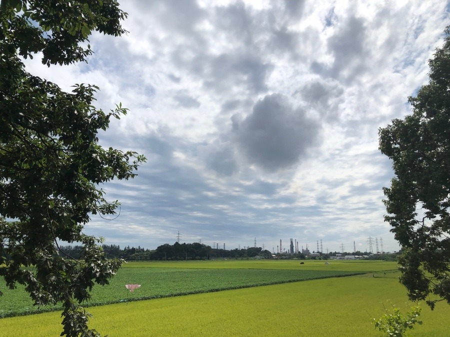 今空、午後2時