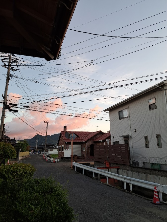 朝の散歩　風景