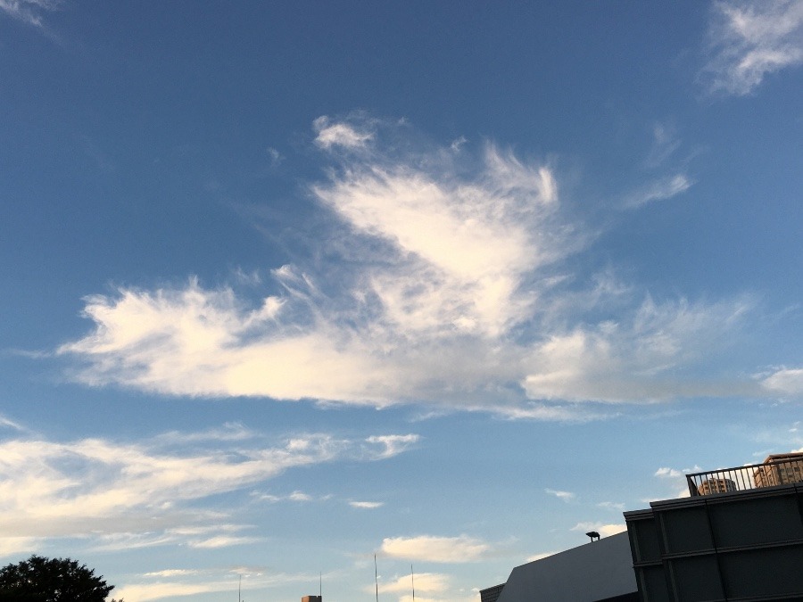 今朝の雲