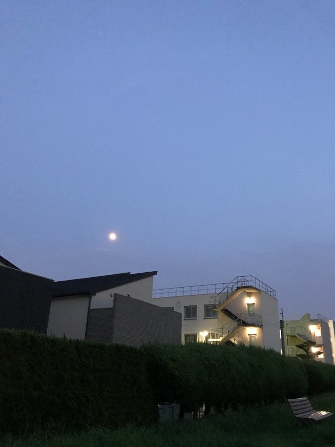 今日のお月さん🌔✨