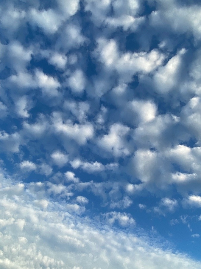 雲もくもく部