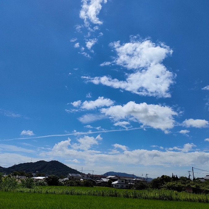 澄んだ青空に飛行機雲