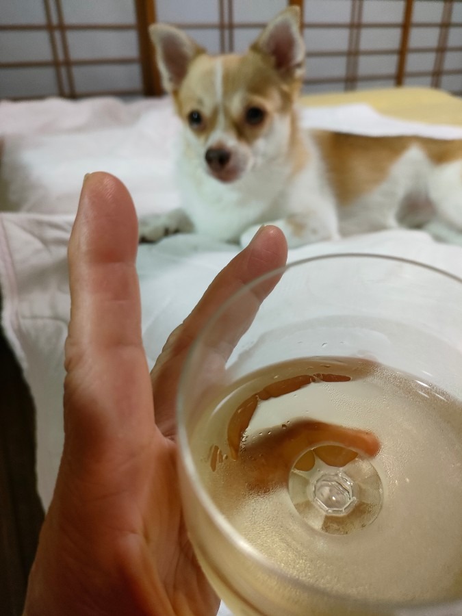 ピース！乾杯！