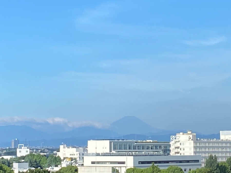 今朝の富士山