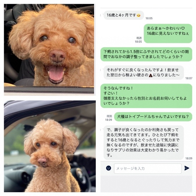 ☆NMN for DOG お客様ワンちゃん体験談☆