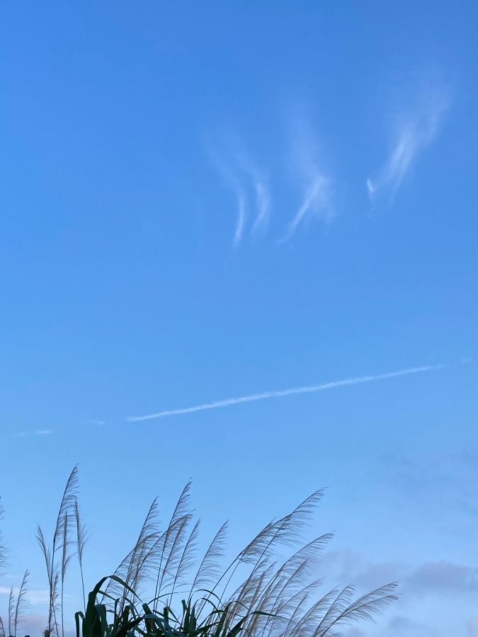 ひこうき雲