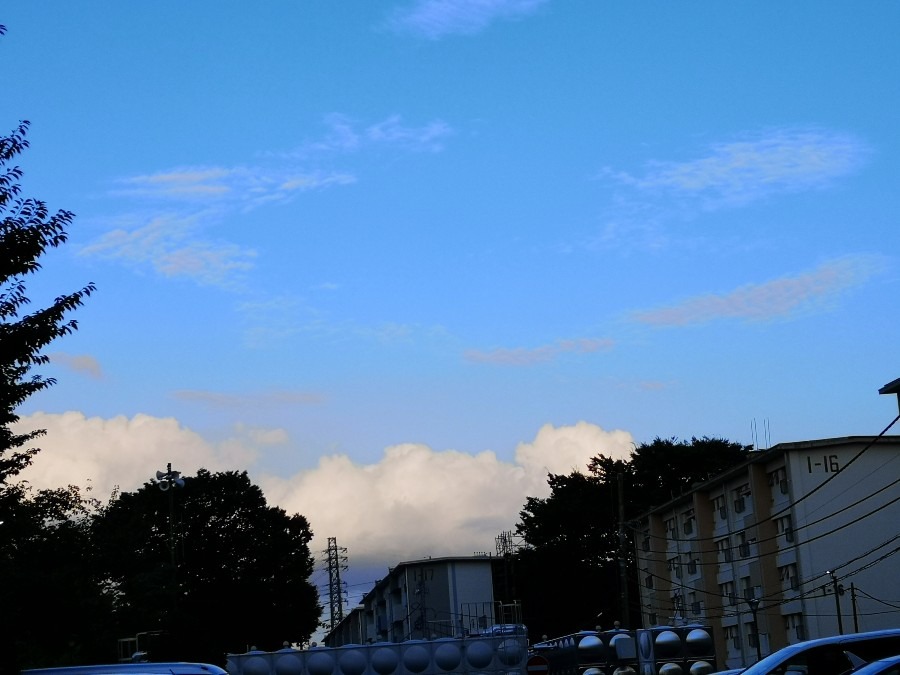 今空✨午後５時５０分　国立市　東の空