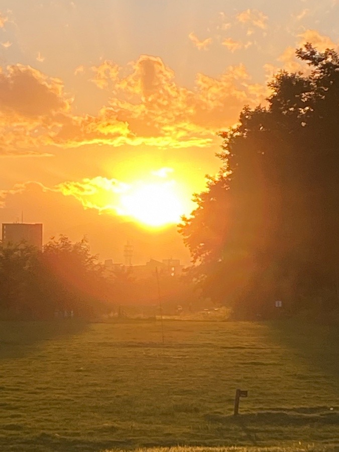 夕陽🌇🌇🌇