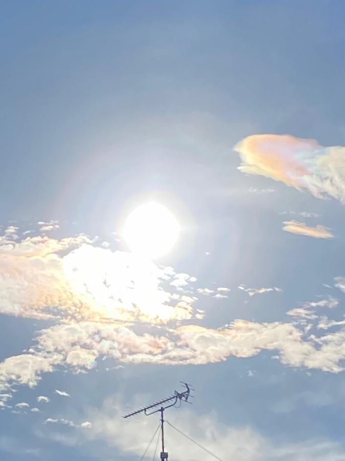 綺麗☀️☀️☀️