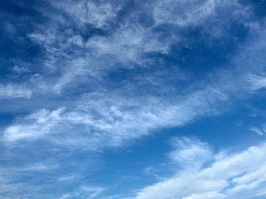 朝の空