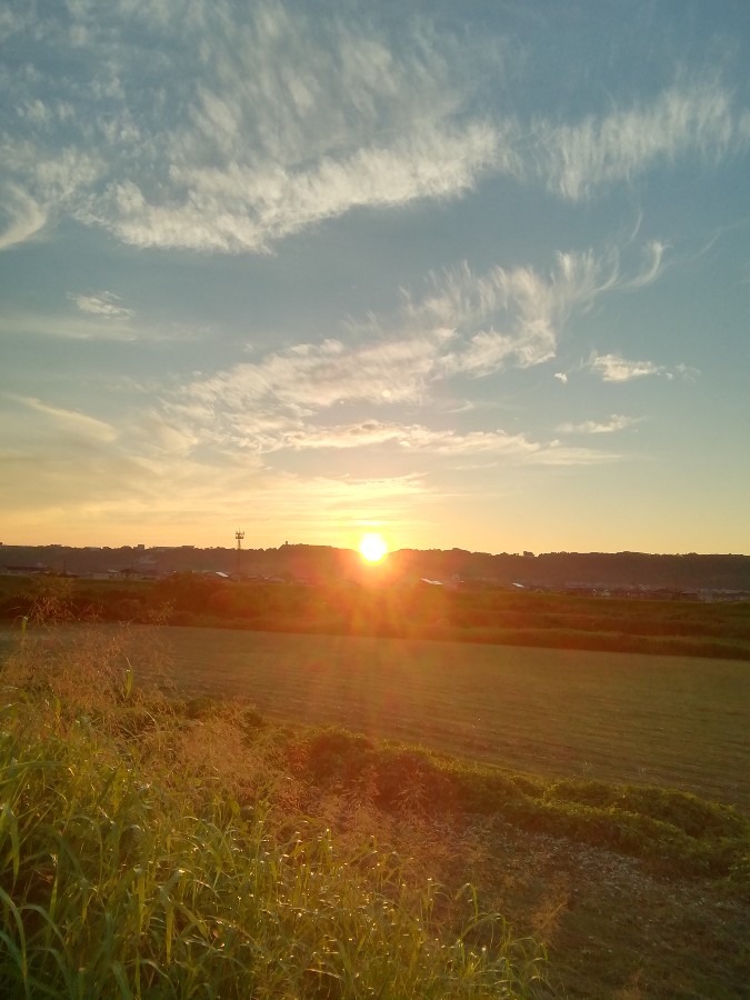 今朝の空①