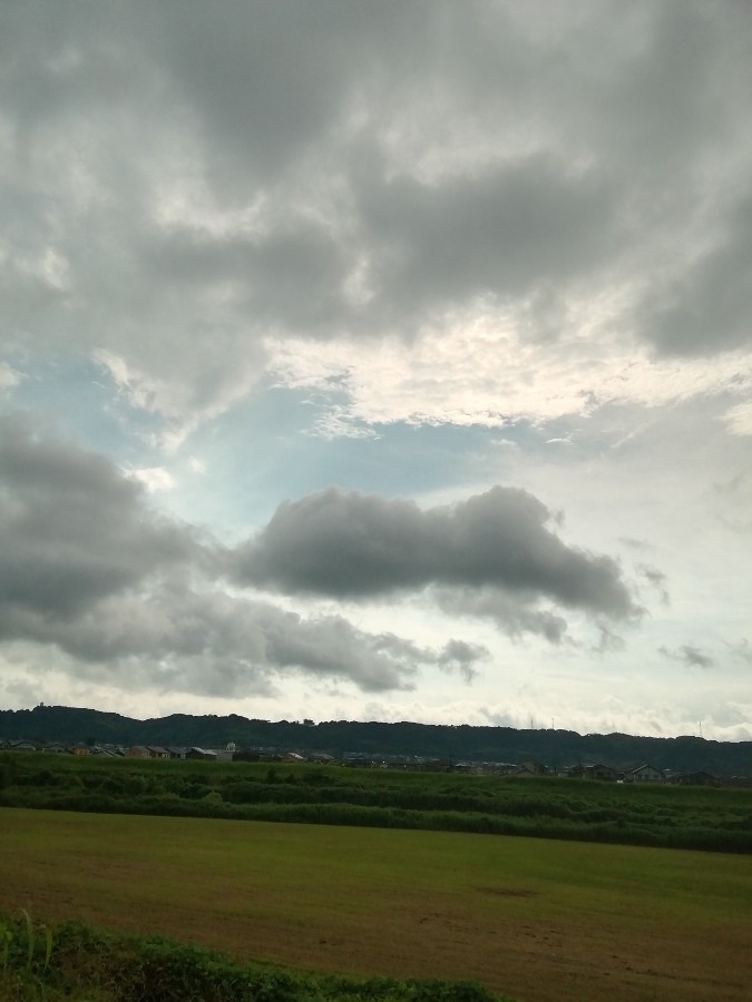 今朝の空