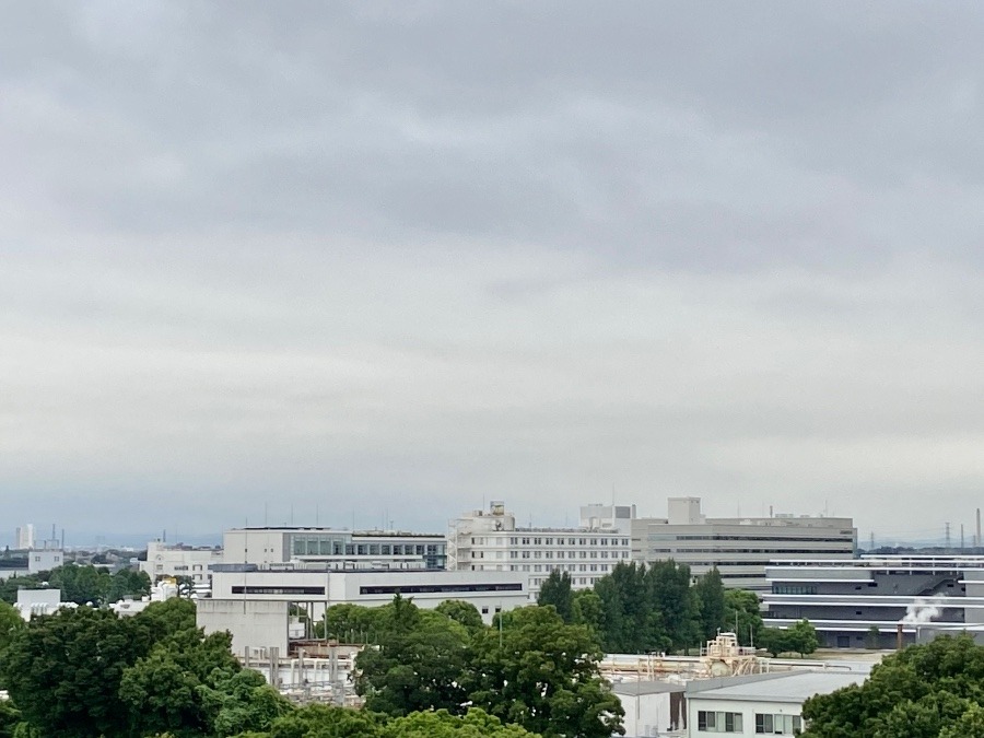 今朝の富士山