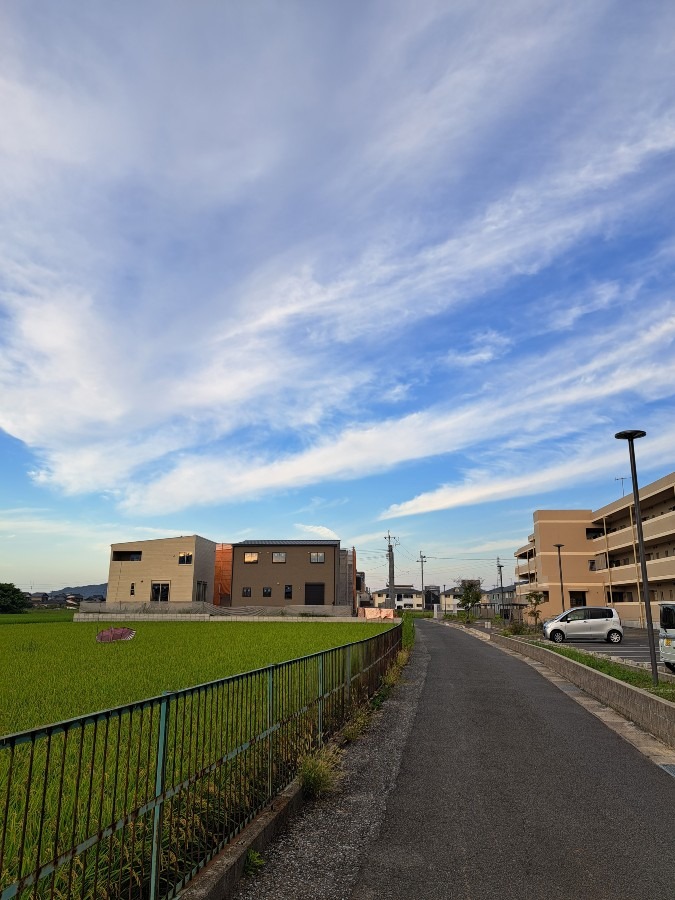 競走してる‼️　雲