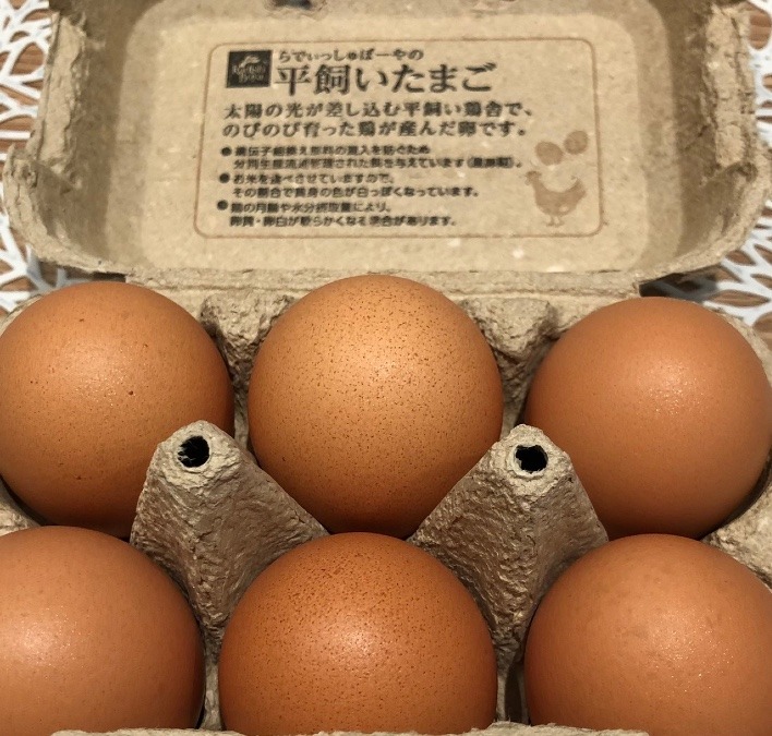 🐓🥚平飼い(๑>◡