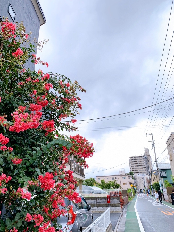 ☆今空　近所☆