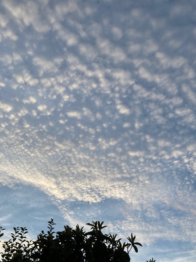 雲ふうせん