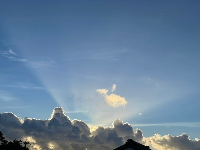 2022/08/02 朝の空