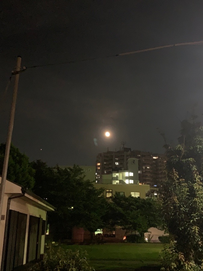 だいぶ欠けてきたけど…