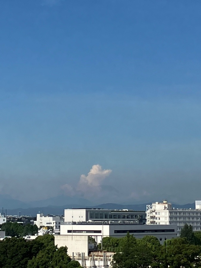 今朝の　富士山