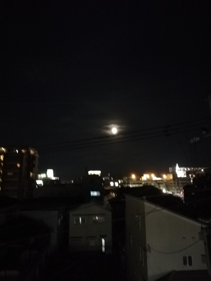 今日は満月🌕です!