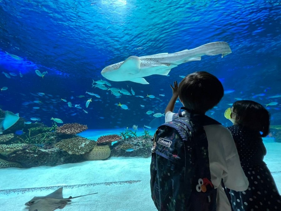 水族館