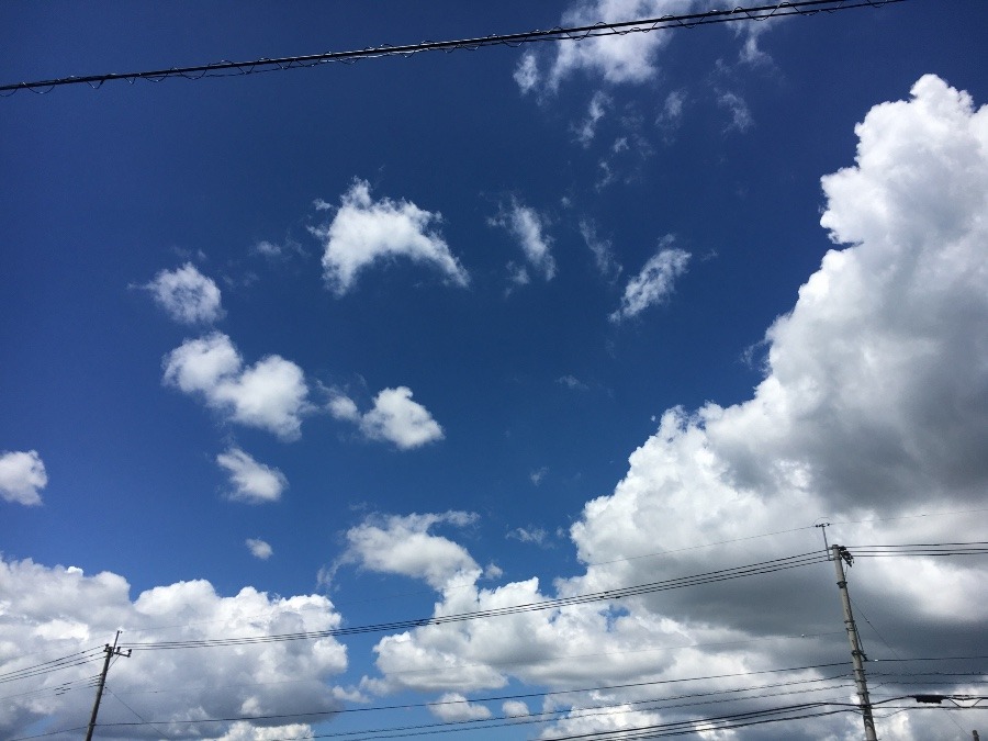 ⭕️空部→   いま空（≧∇≦）‼️103.