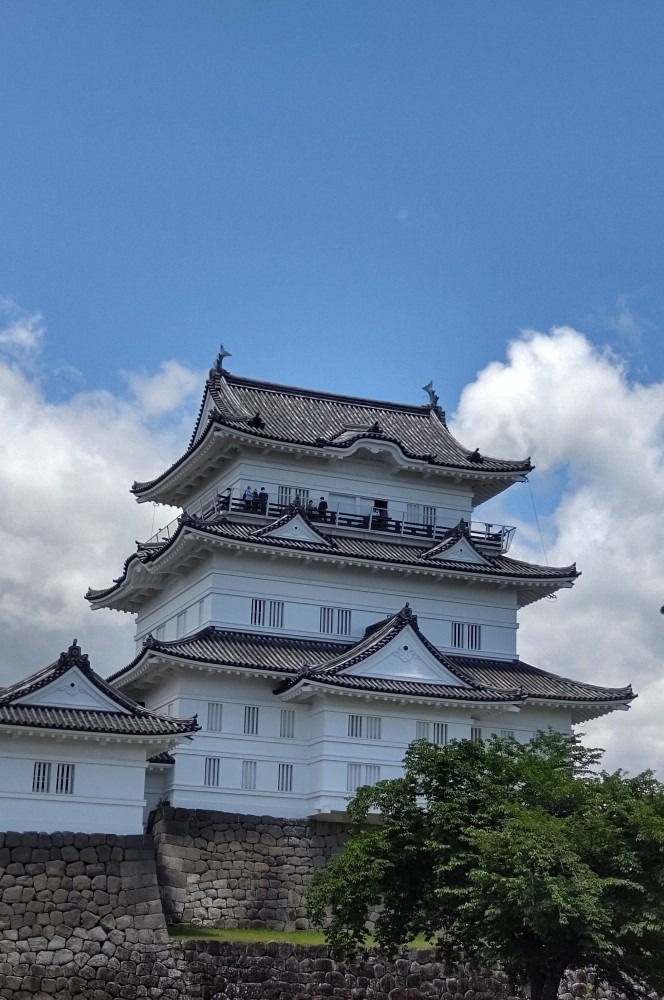 小田原城🏯