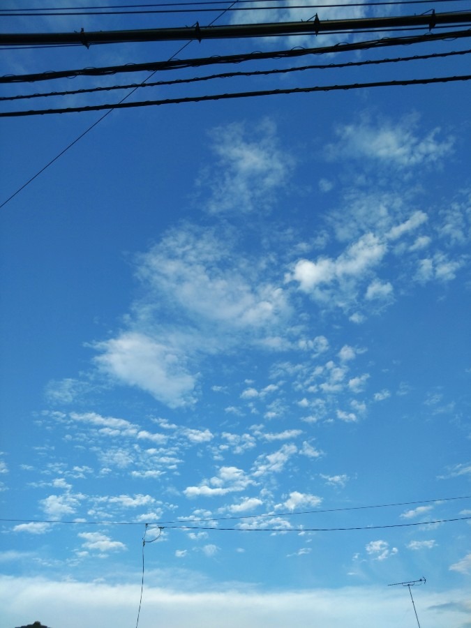 いまそら