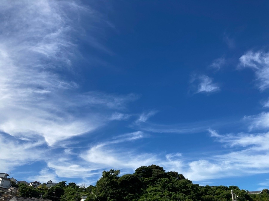 綺麗な青空…✨