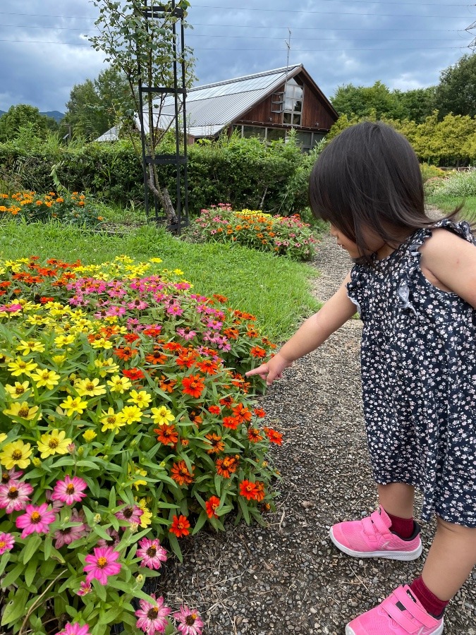 夏の思い出②☆