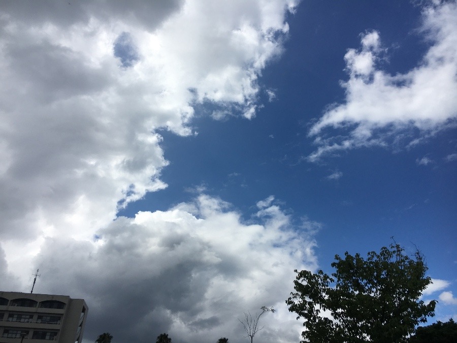 ⭕️空部→   いま空（≧∇≦）‼️106.