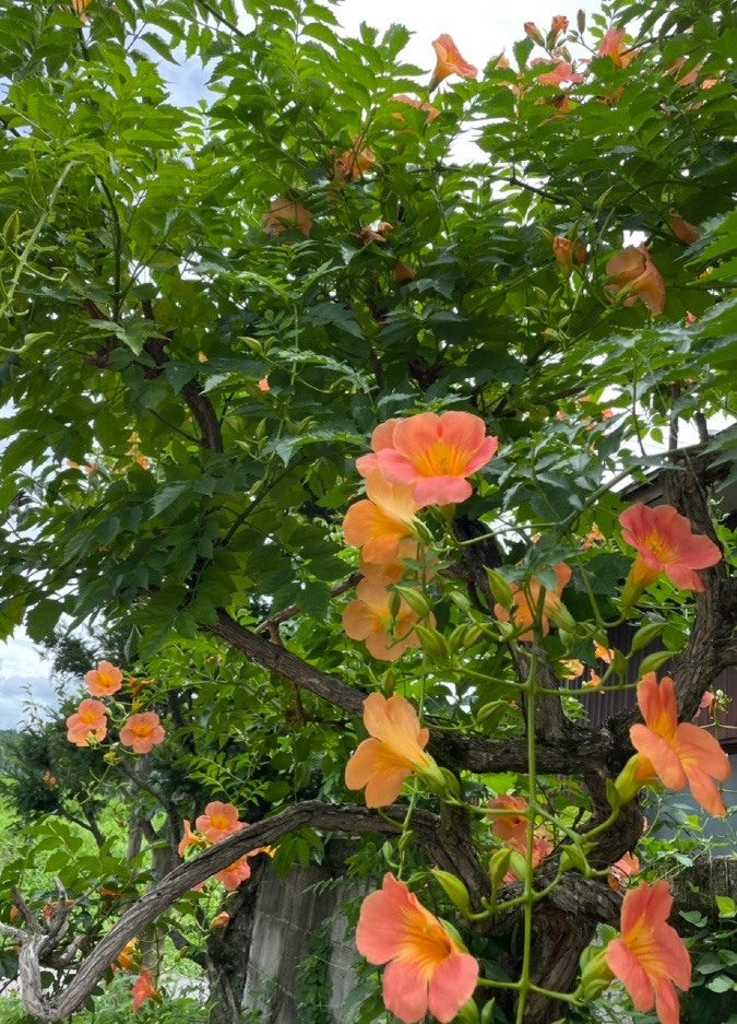 今日も元気に✨