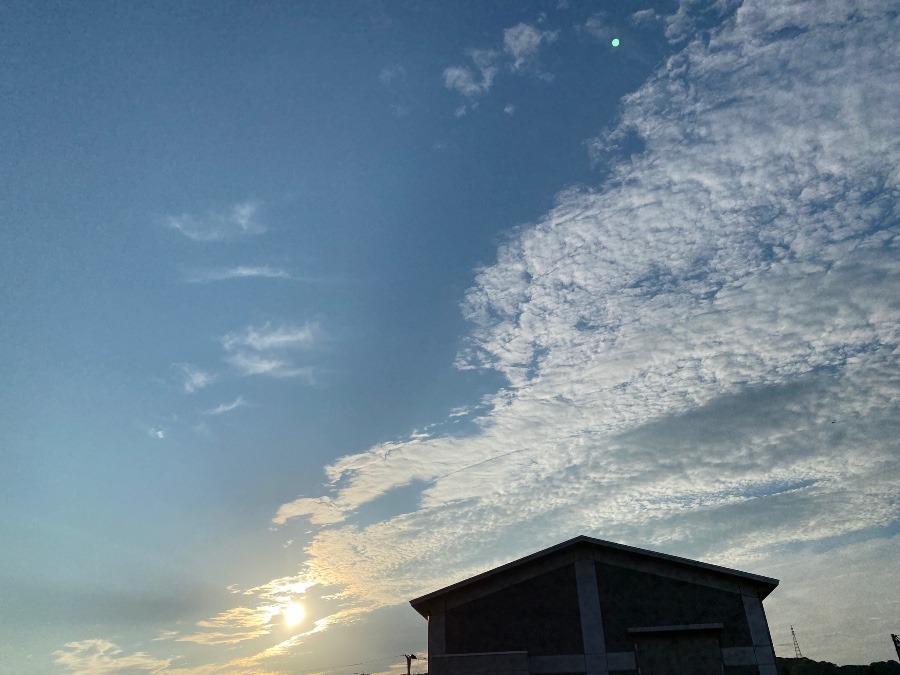 今朝の空　８／14